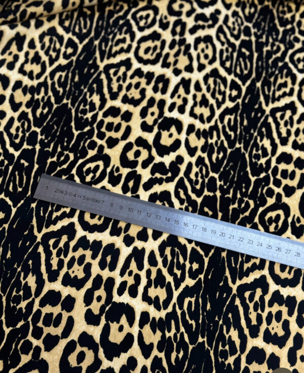 C𝗮𝗱𝘆  Leo - Image 6