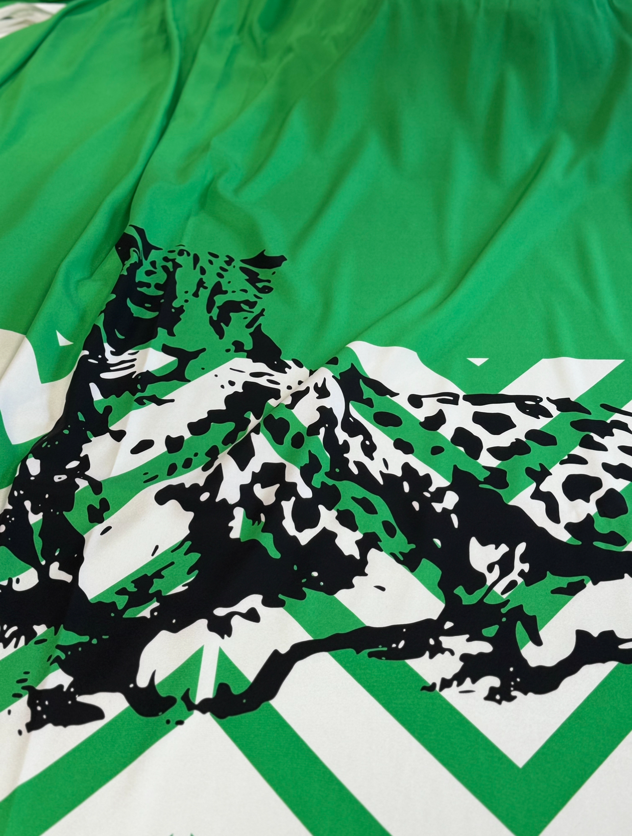 Silk green cupon leopard - Image 2